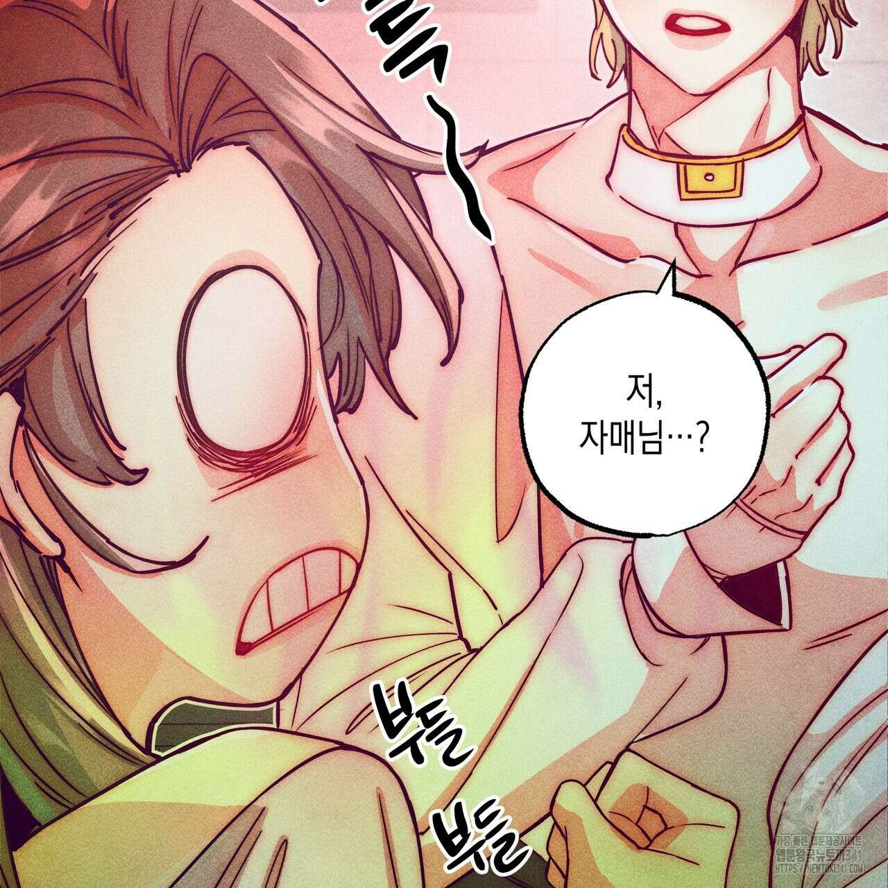 남주들의 첫날밤을 수집합니다 11화 131