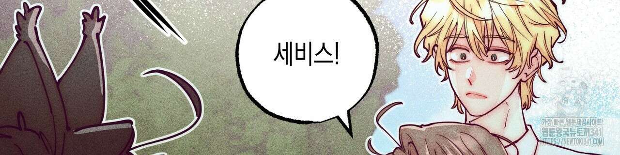 남주들의 첫날밤을 수집합니다 11화 212