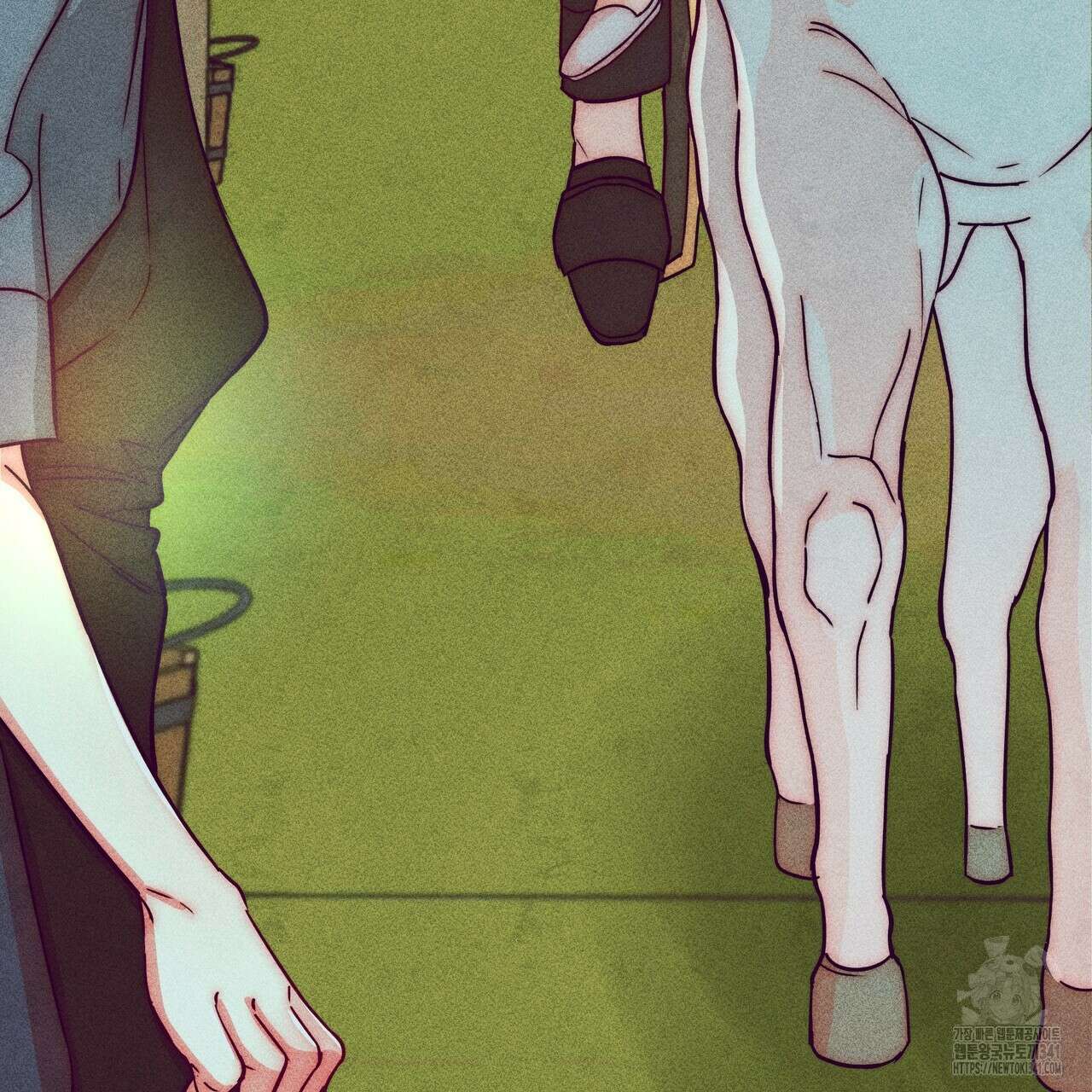 남주들의 첫날밤을 수집합니다 11화 215