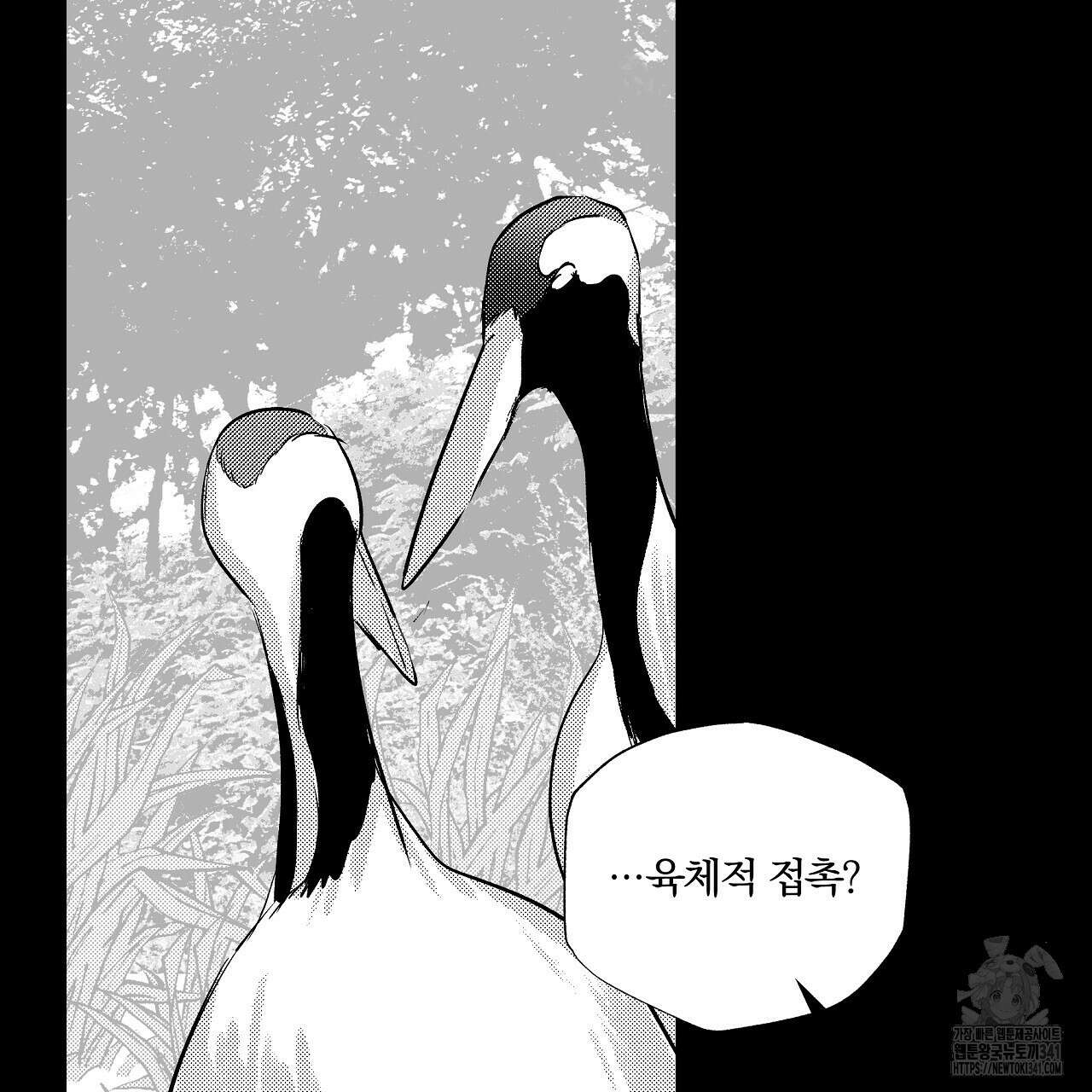 일기예보 살인마 19화 15
