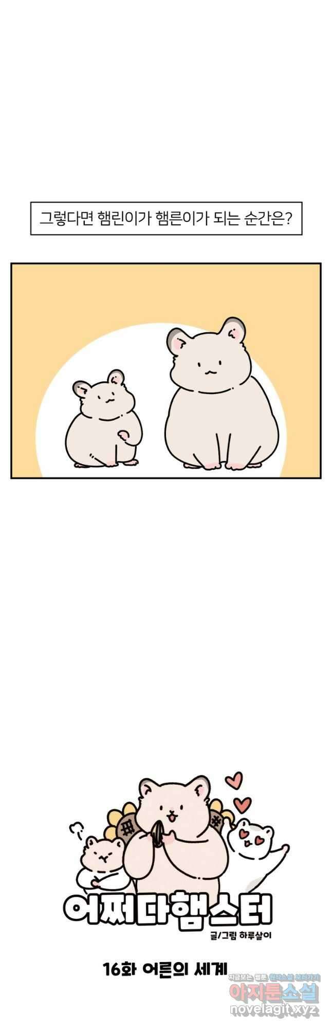 어쩌다 햄스터 16. 어른의 세계 3