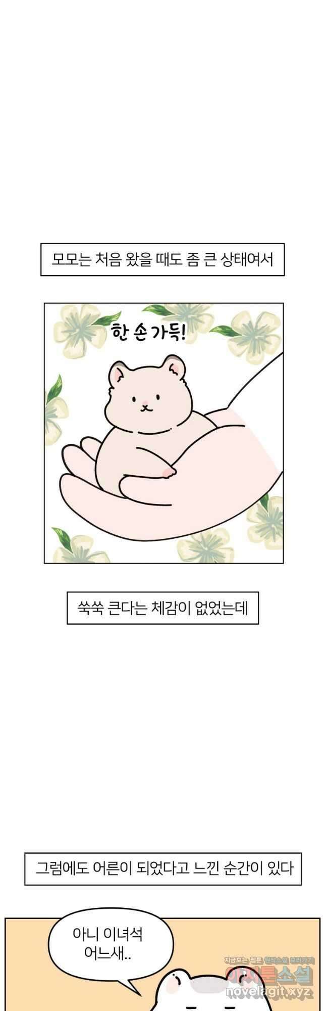 어쩌다 햄스터 16. 어른의 세계 4
