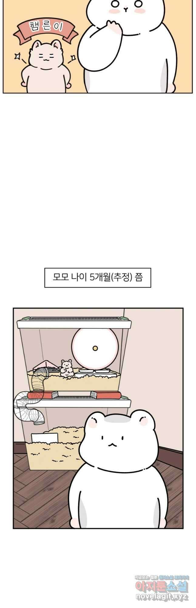 어쩌다 햄스터 16. 어른의 세계 5