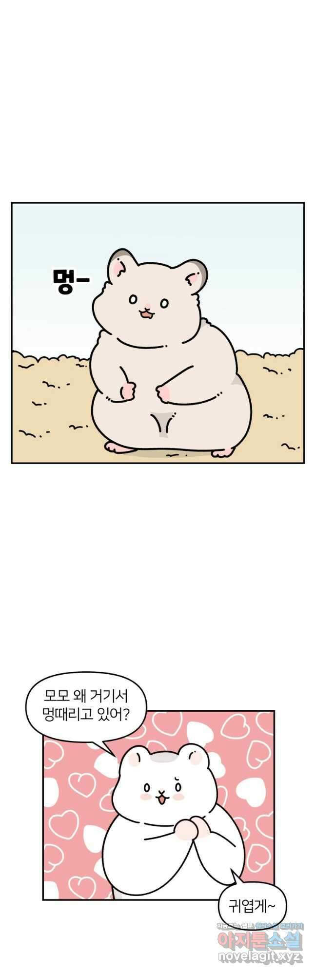 어쩌다 햄스터 16. 어른의 세계 6