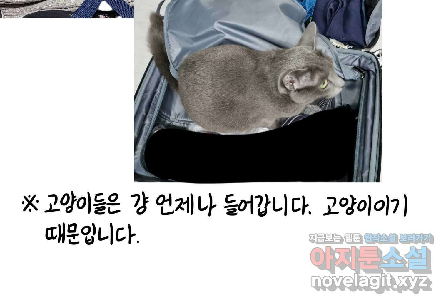 재활용 머학생 68화 대만여행 만화(1) 34