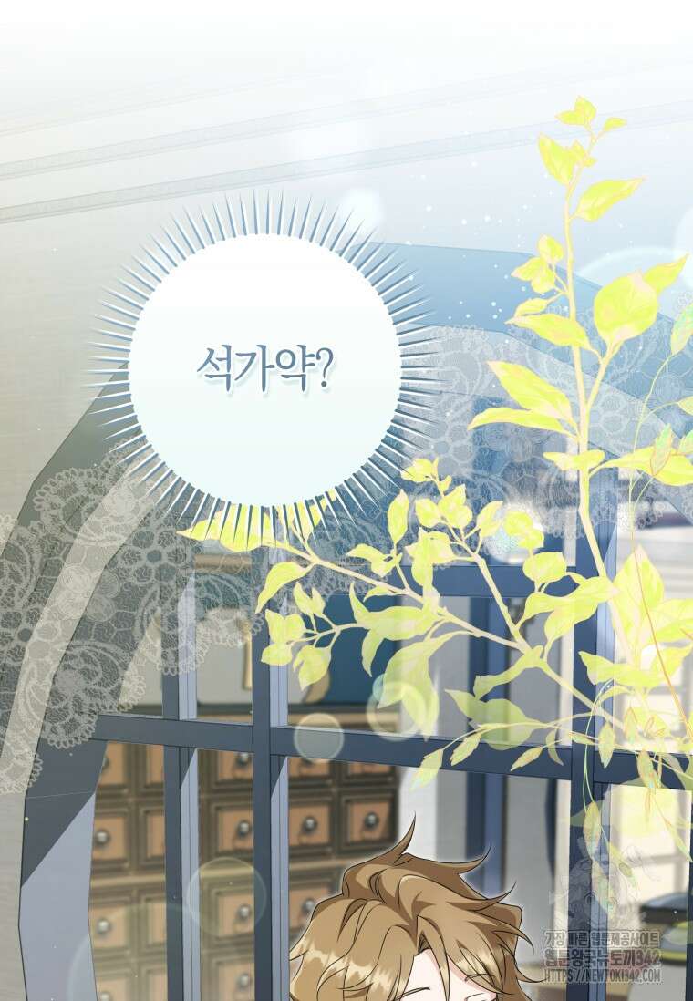 무림세가 천대받는 손녀 딸이 되었다 64화 93