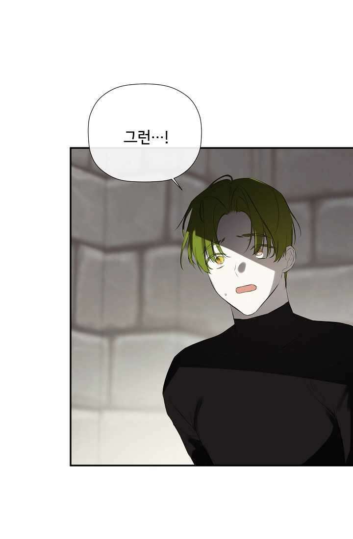 정체를 숨긴 서브남주에게 잘못 걸렸다 74화 48