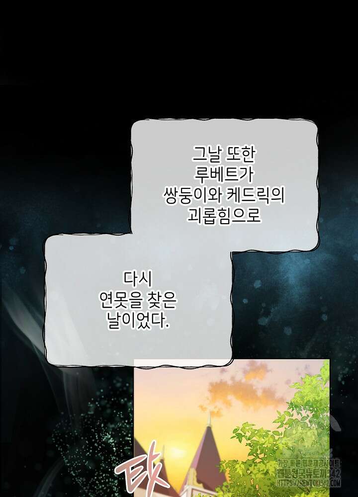 셀럽 레이디 5화 12