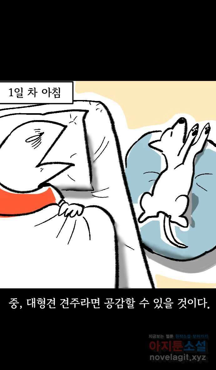 개집사 3화 해? 말어? 11
