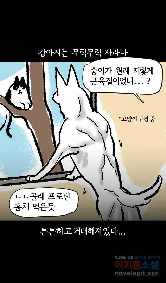 개집사 3화 해? 말어? 21