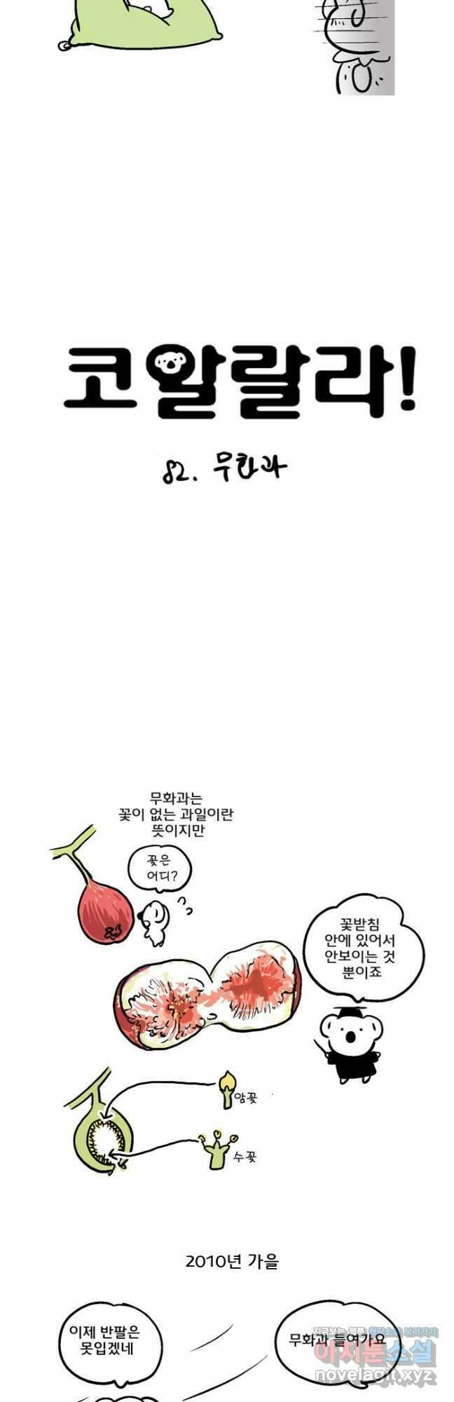 코알랄라 82화 무화과 4