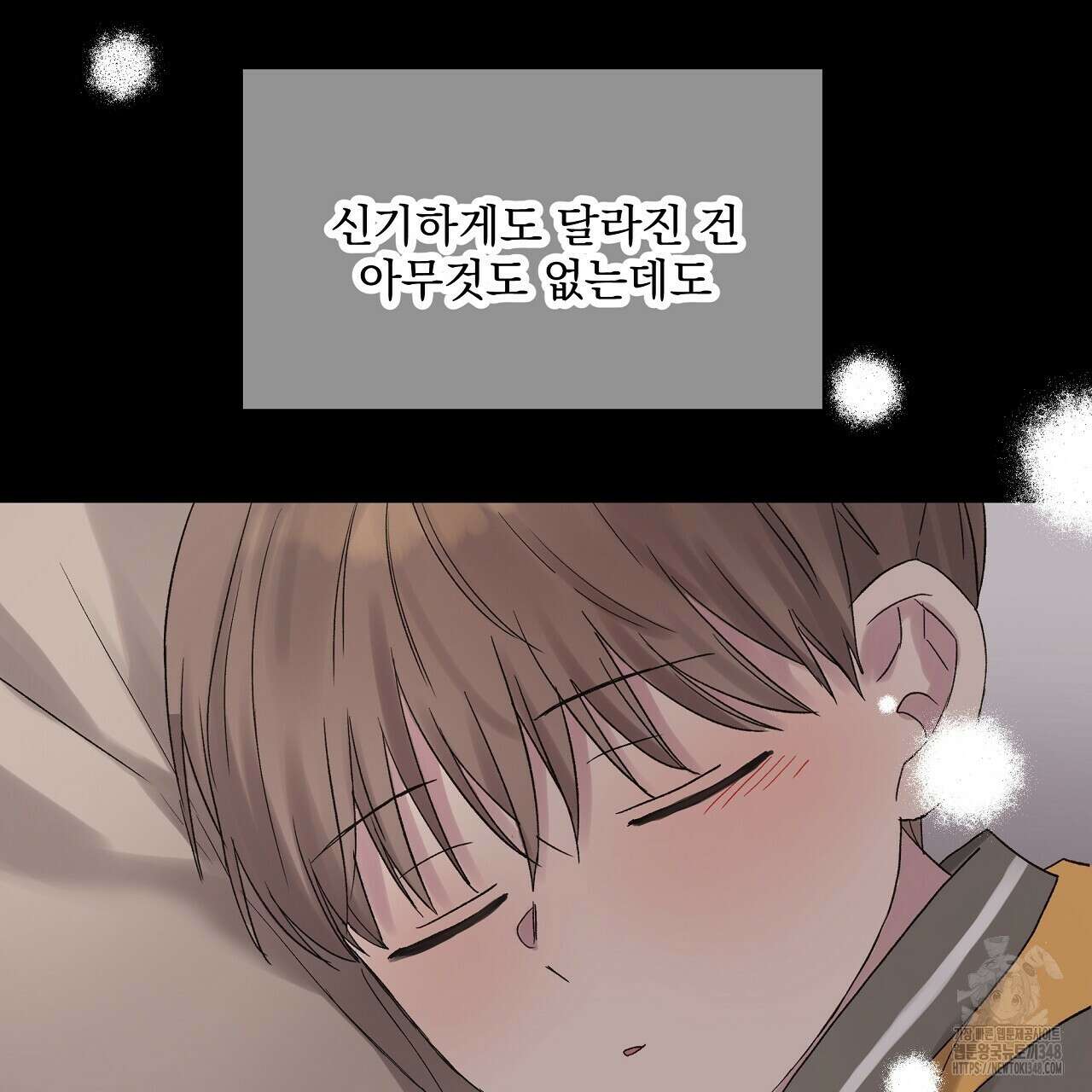 치치 시리즈 27화 113