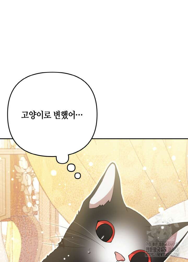 그가 죽여야 할 최종 악녀가 저랍니다 17화 8