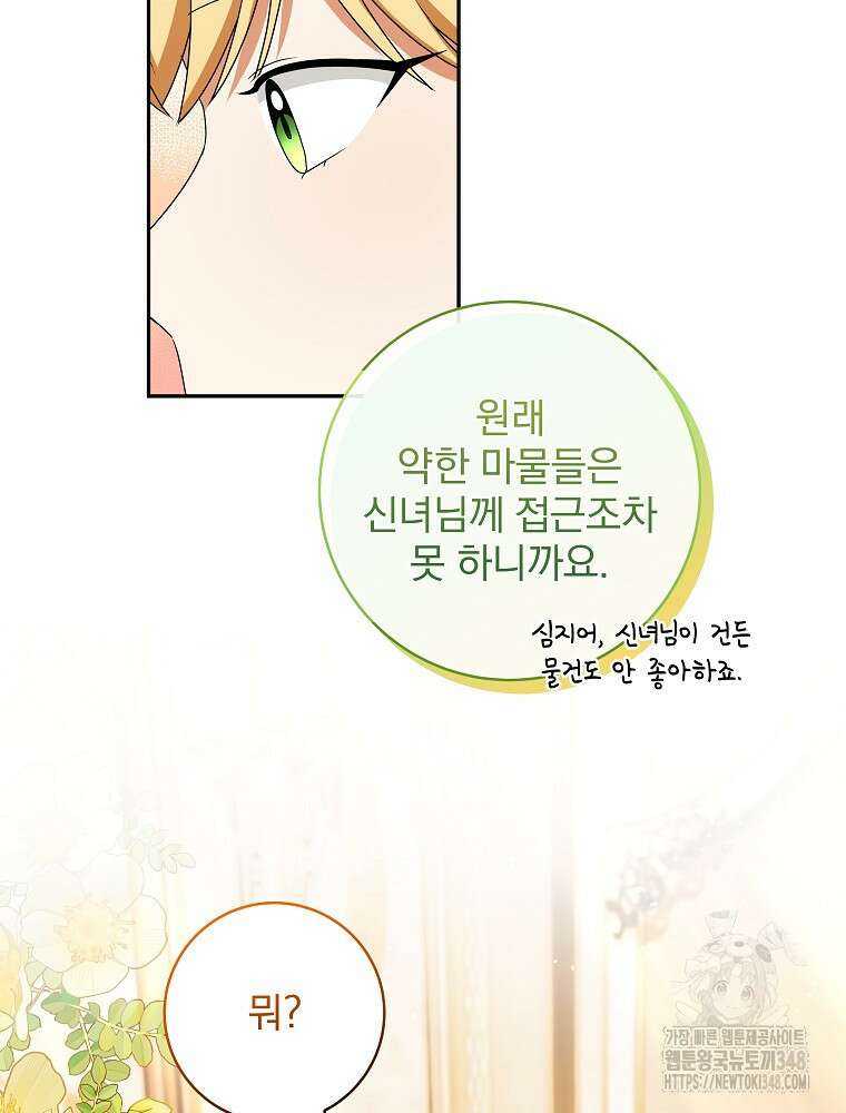신녀를 믿지 마세요 16화 8