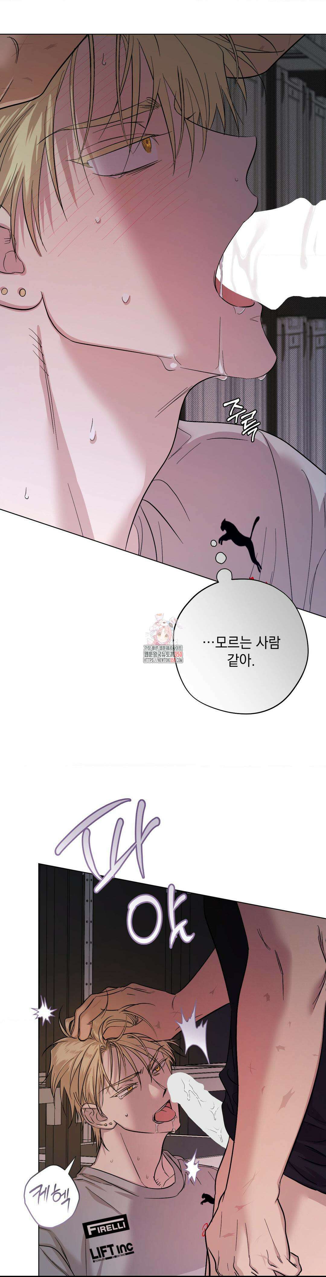 드라이버스 하이 (Driver's high) 14화 1