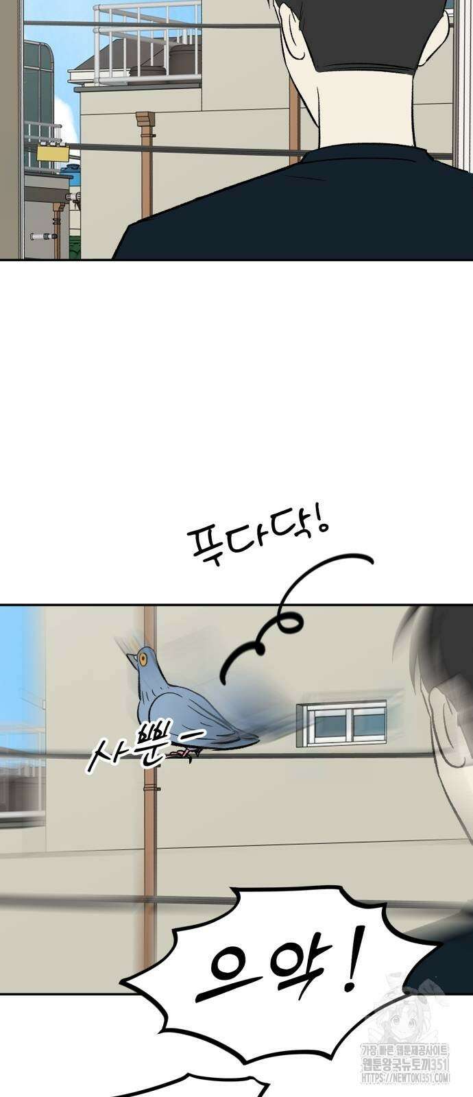 성북구 비둘기 이헌서 19화 3