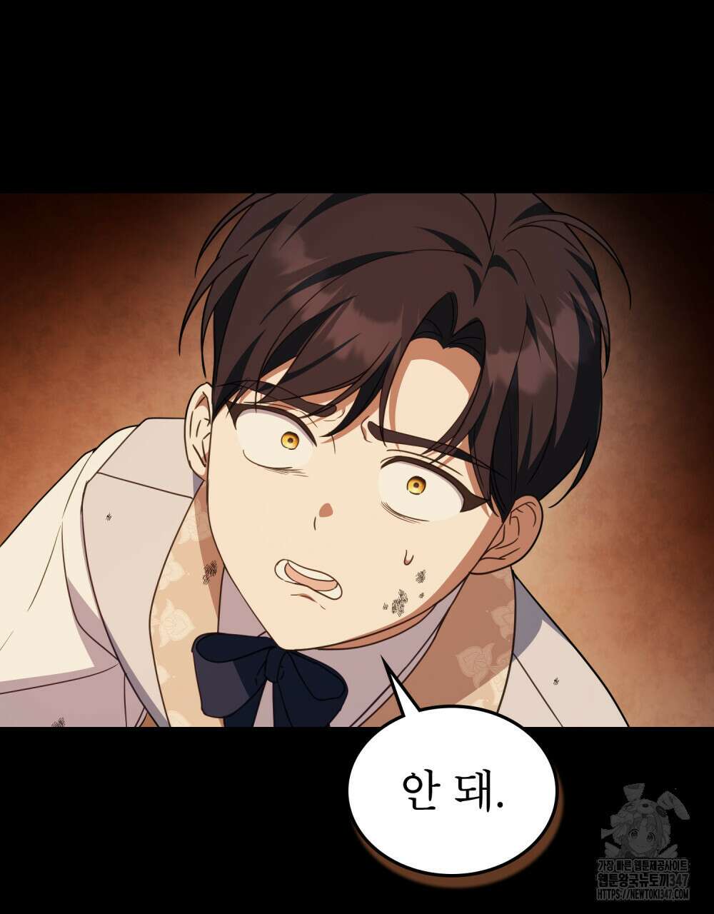 디에 멜루시네 25화 8