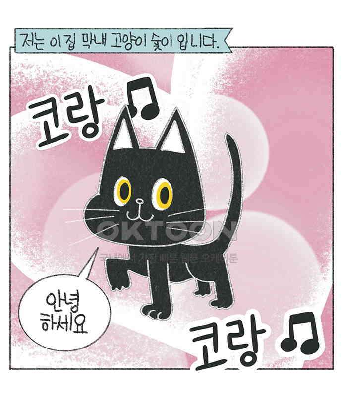 마님이네 미국 시골집 이야기 110화 고양이 털털털 1