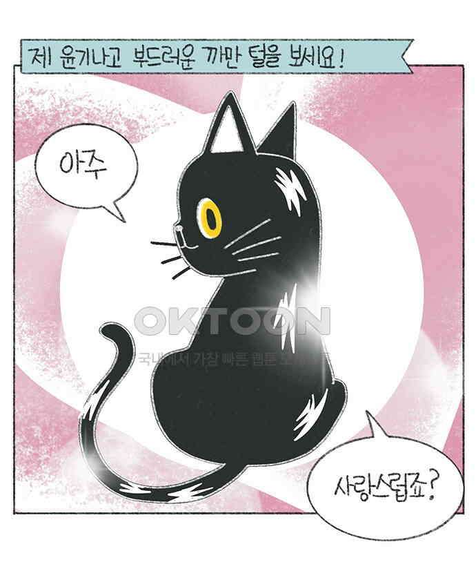 마님이네 미국 시골집 이야기 110화 고양이 털털털 2