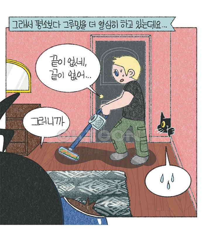 마님이네 미국 시골집 이야기 110화 고양이 털털털 5