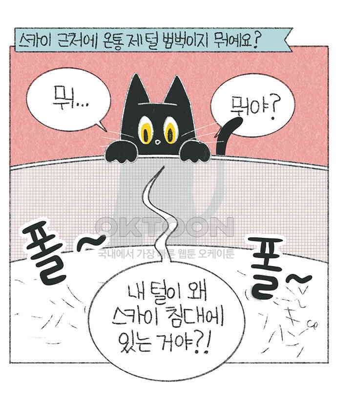 마님이네 미국 시골집 이야기 110화 고양이 털털털 7