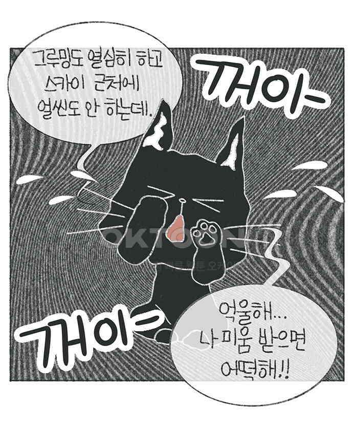 마님이네 미국 시골집 이야기 110화 고양이 털털털 8