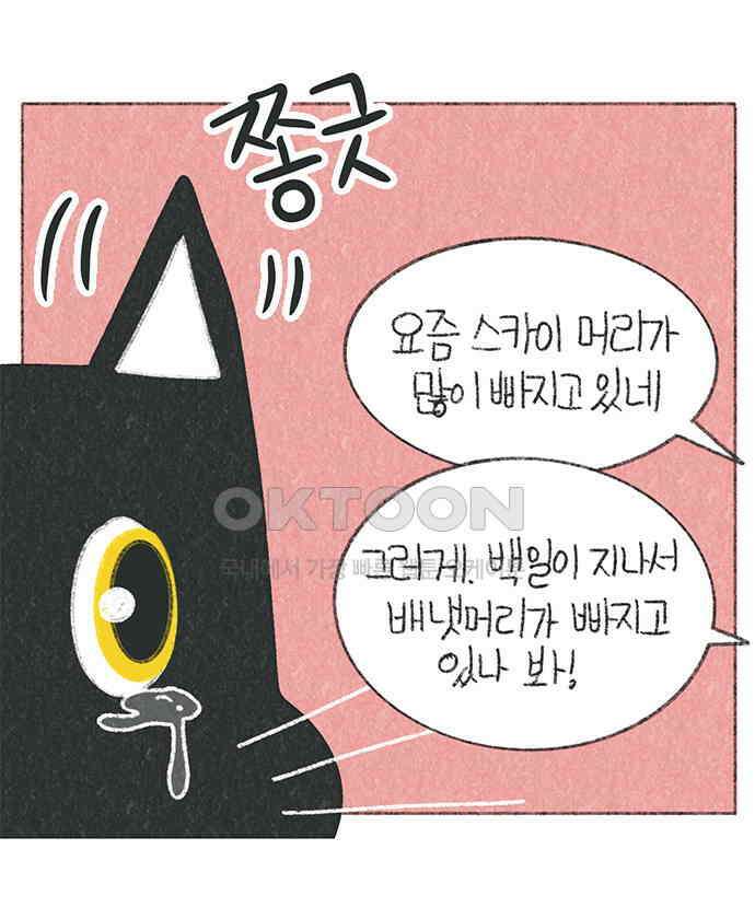 마님이네 미국 시골집 이야기 110화 고양이 털털털 9