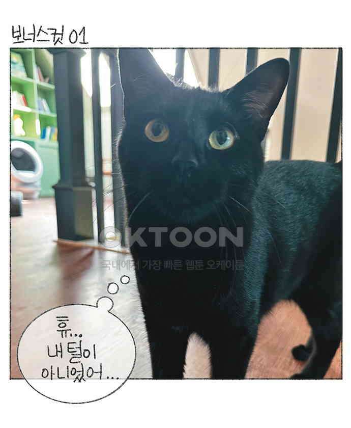 마님이네 미국 시골집 이야기 110화 고양이 털털털 11