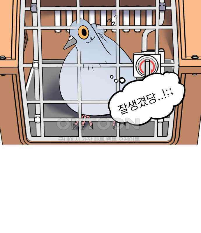 성북구 비둘기 이헌서 20화 11