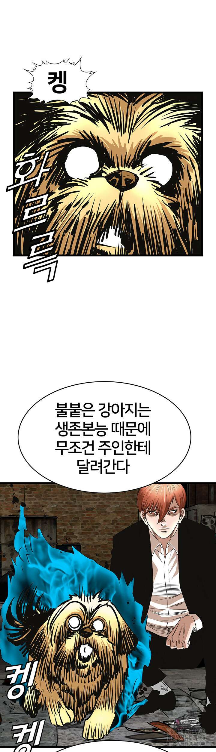 전국구 86화 11