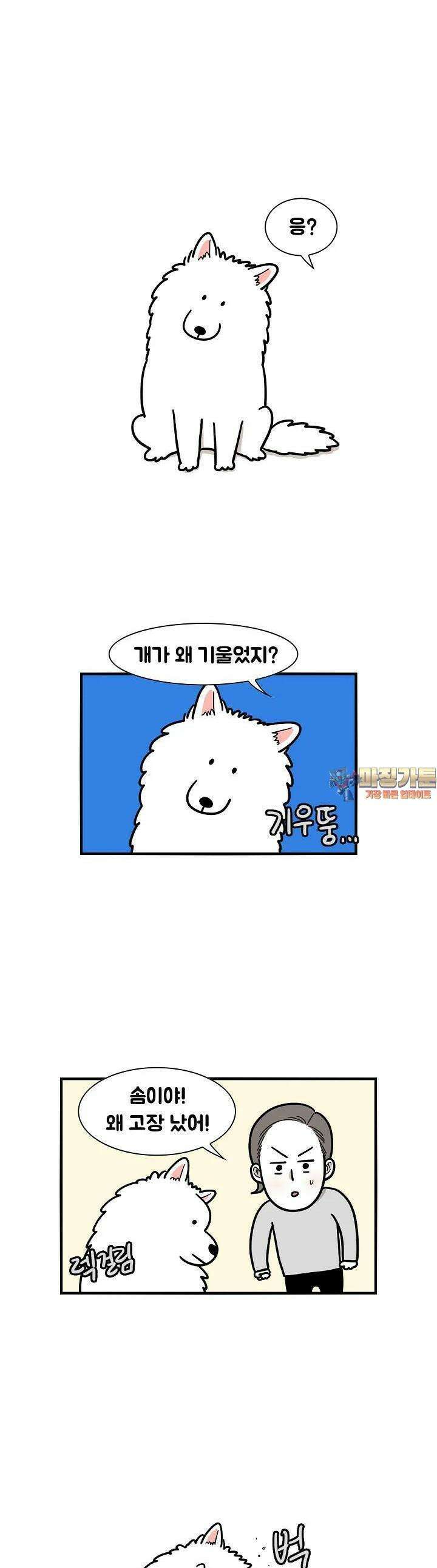 극한견주 15화 병원 1
