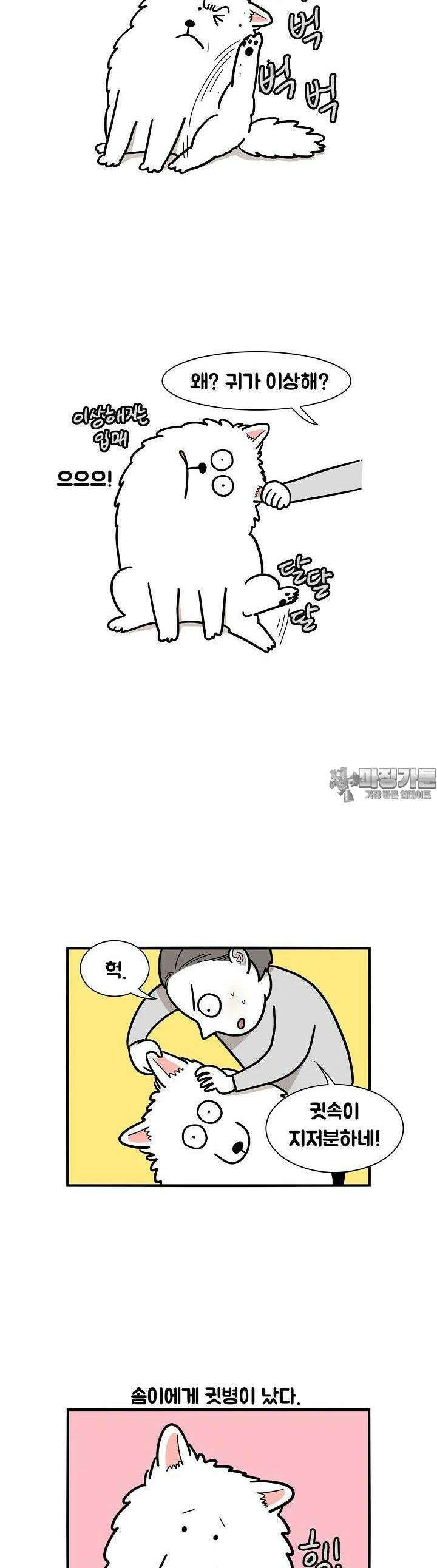 극한견주 15화 병원 2