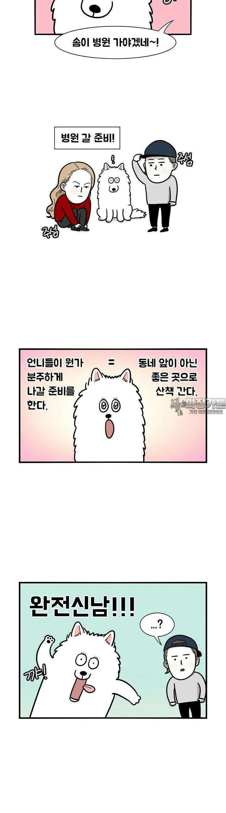 극한견주 15화 병원 3