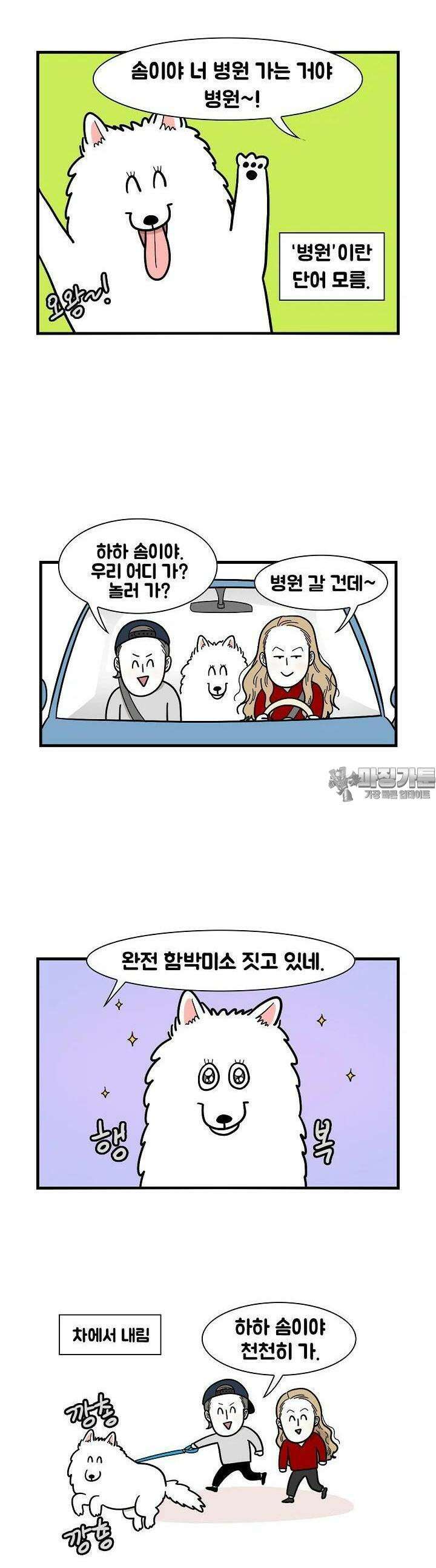 극한견주 15화 병원 4