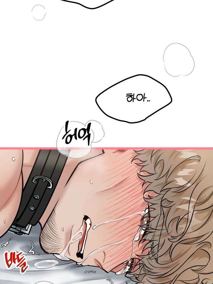 BDSM 기본지침서 15화 2