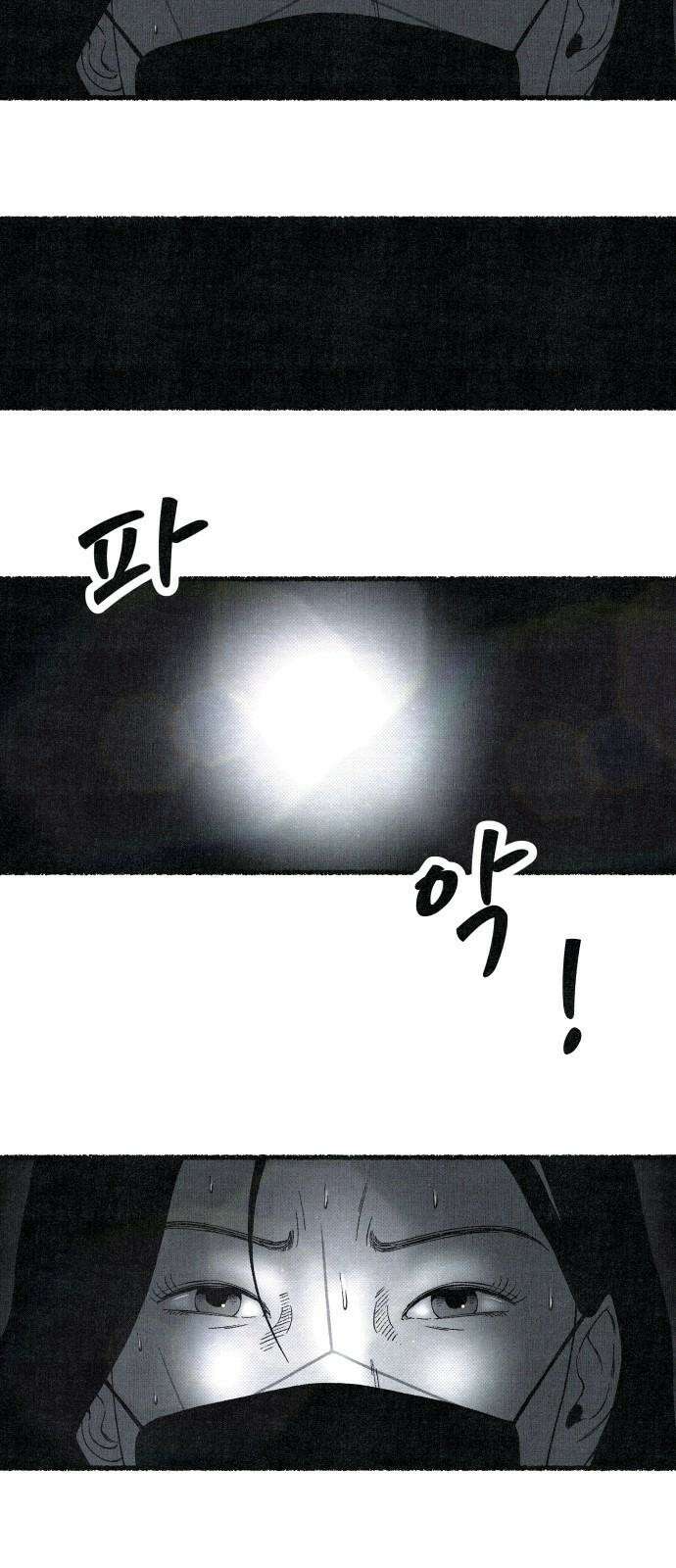 벌집 31화 2
