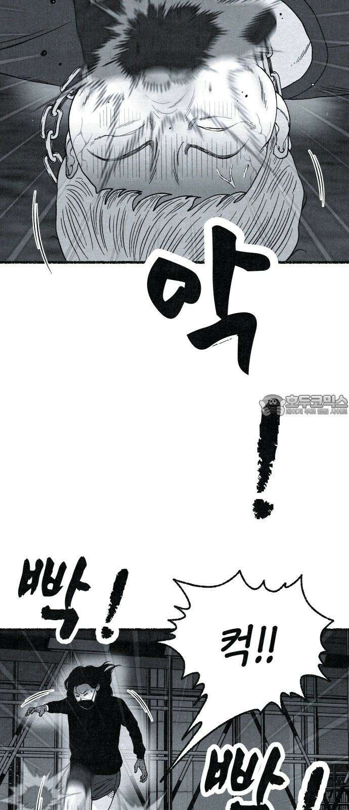 벌집 31화 36