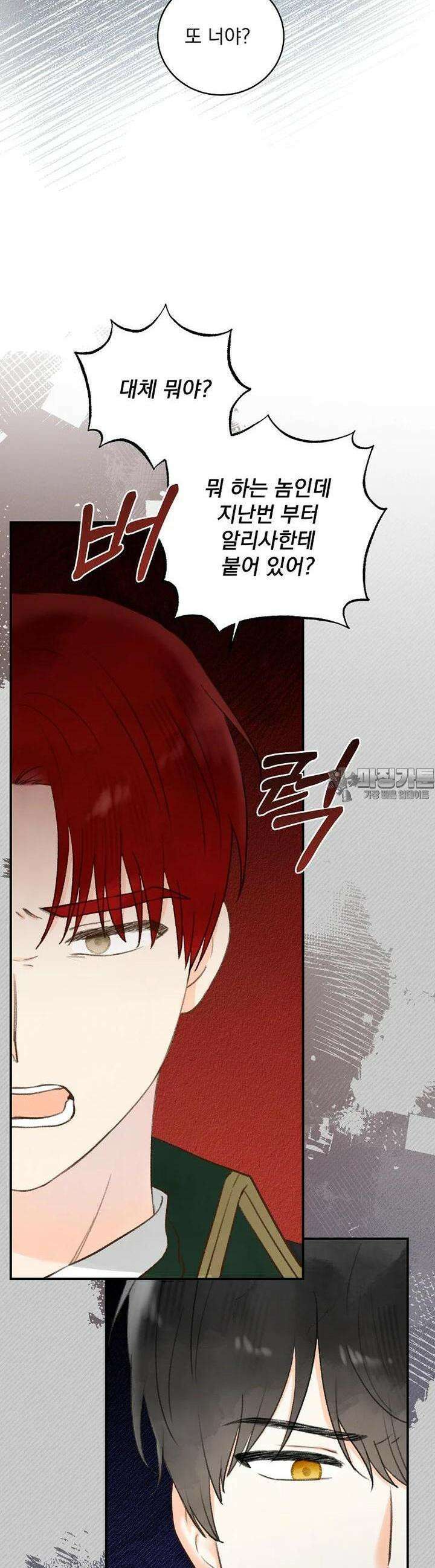 알리사와 마법일기 19화 24