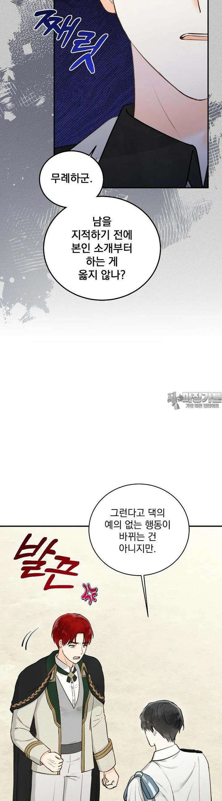 알리사와 마법일기 19화 25
