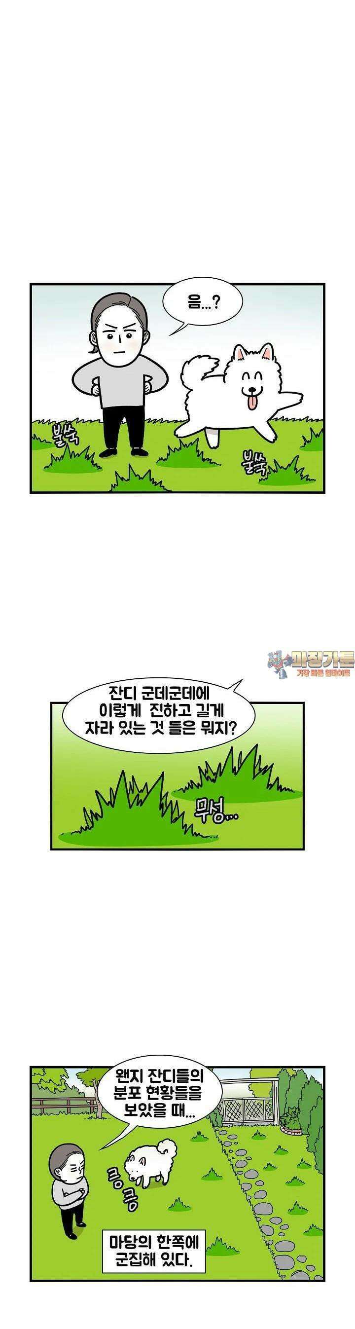 극한견주 34화 실외배변 1