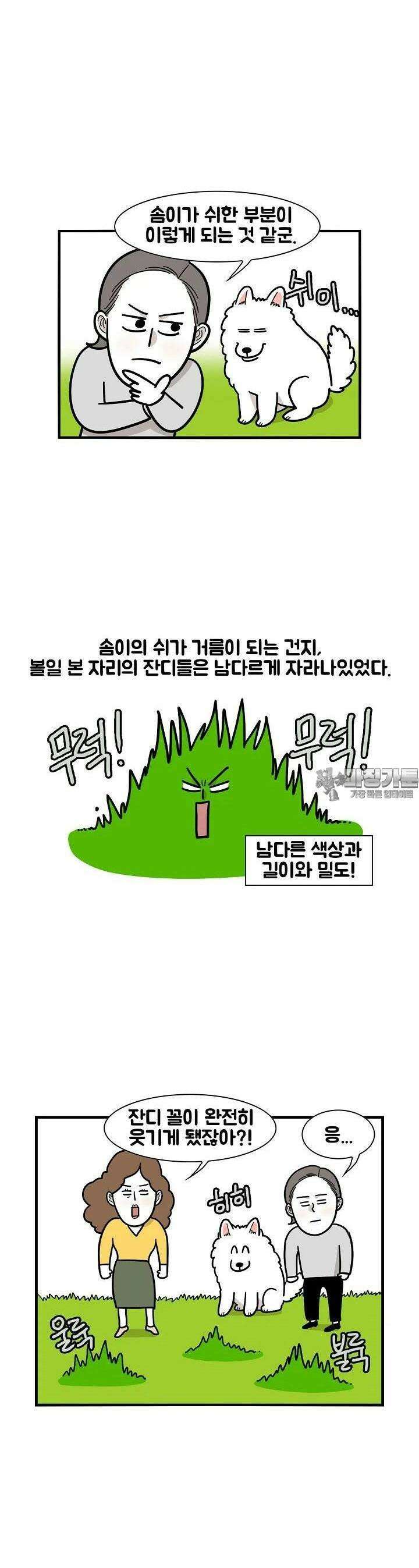 극한견주 34화 실외배변 2