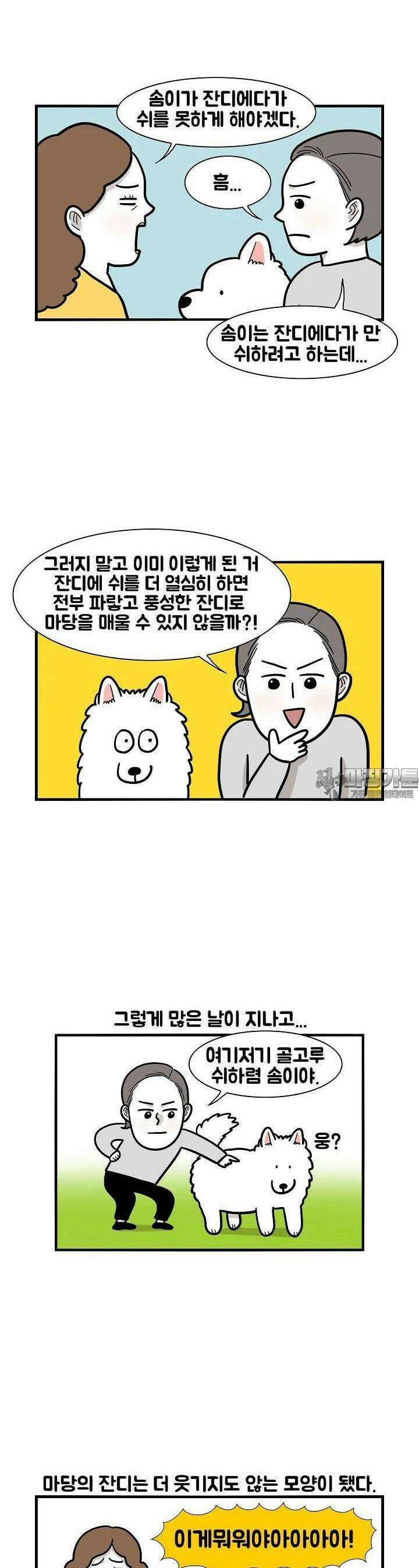 극한견주 34화 실외배변 3