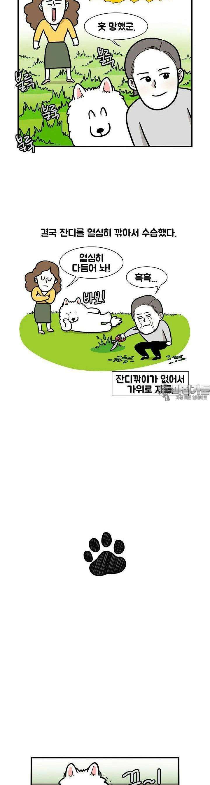 극한견주 34화 실외배변 4