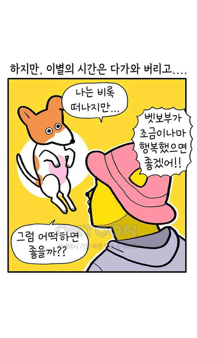 루루라라 우리네 인생 198화 행복해야 해 동물 2