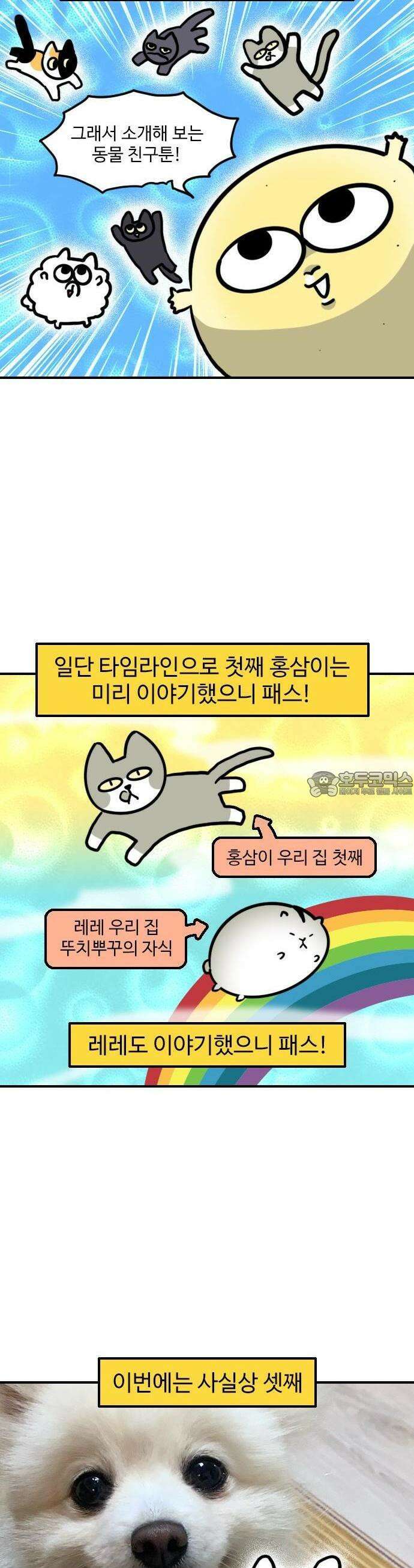 유부 감자 54화 나의 동물 친구들 (1) 3