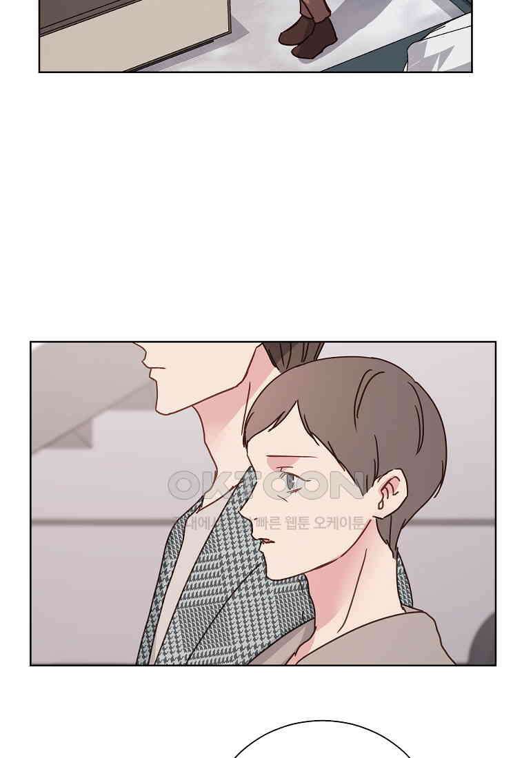 해 밝은 밤의 산책 50 8