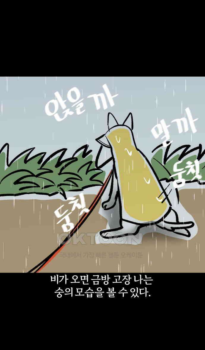 개집사 16화 레이니즘 19