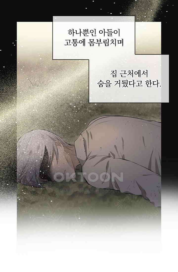 눌리타스: 절반의 백작 영애 160화 75