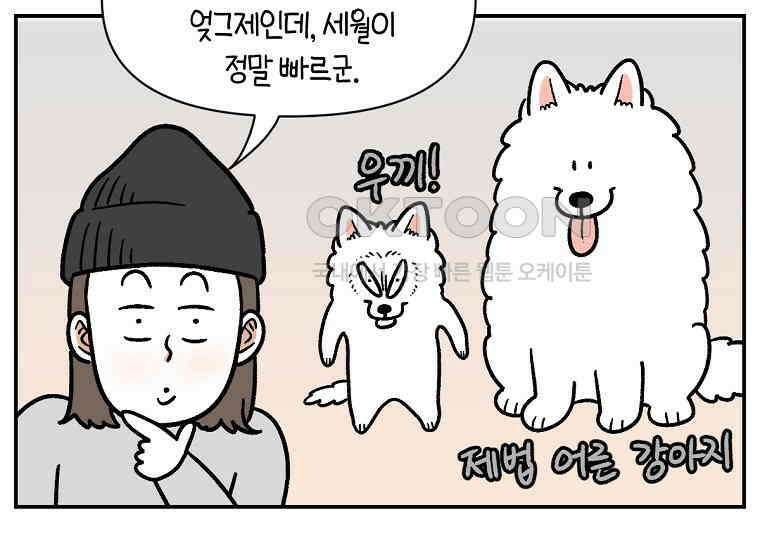 극한견주 시즌2 프롤로그 3