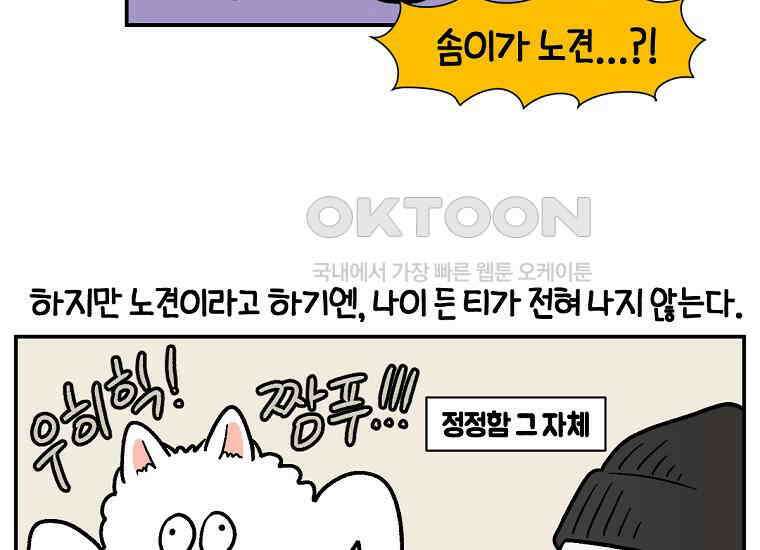 극한견주 시즌2 프롤로그 7